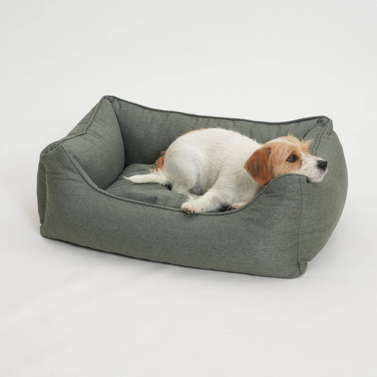 DOGS in the CITY® - Hundebett Box Bett Ono