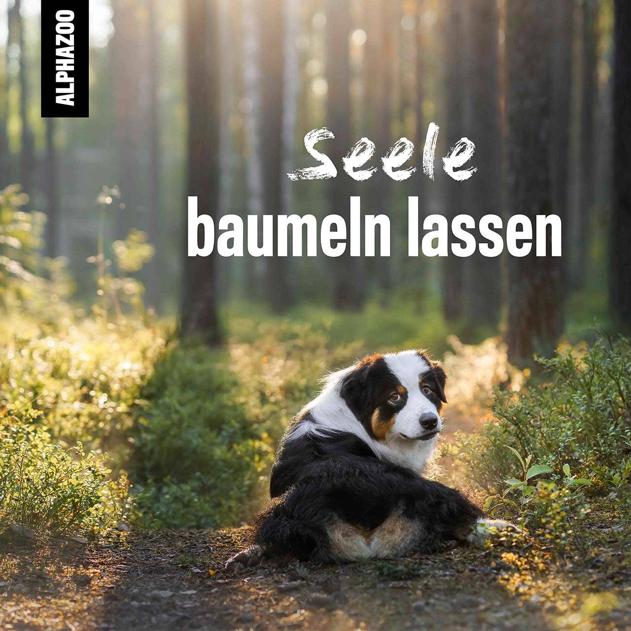 Alphazoo - Seelenruhe Tabletten, Beruhigung & Anti Stress für Hunde