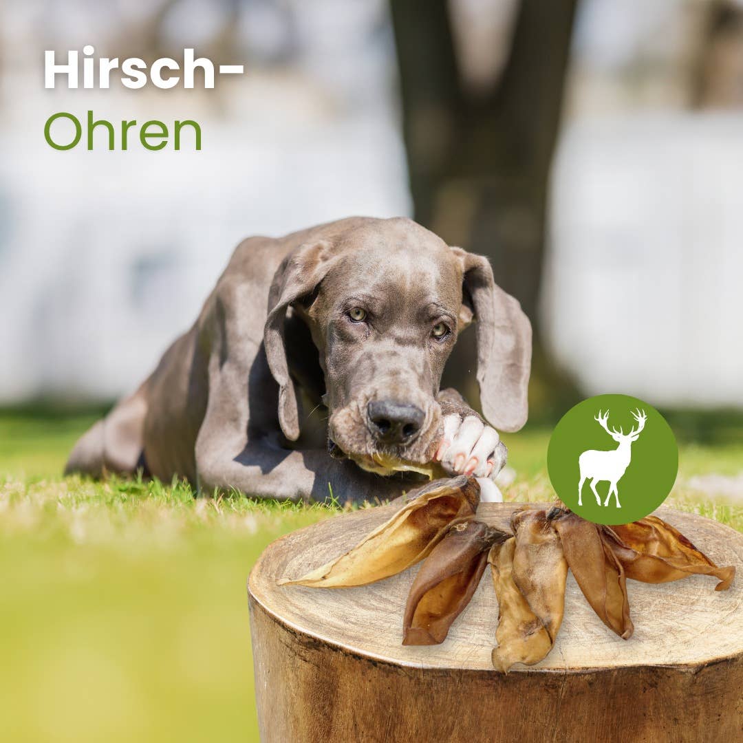 Kauartikel.com - Hirsch-Ohren - 250g