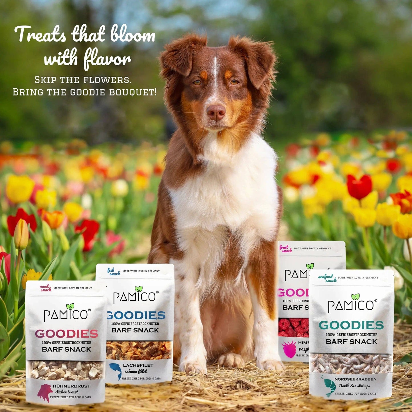 Pamico - Gefriergetrocknete Pferdeherzen Goodies für Hunde & Katzen – Monoprotein Snack reich an Eisen & hochwertigem Eiweiß