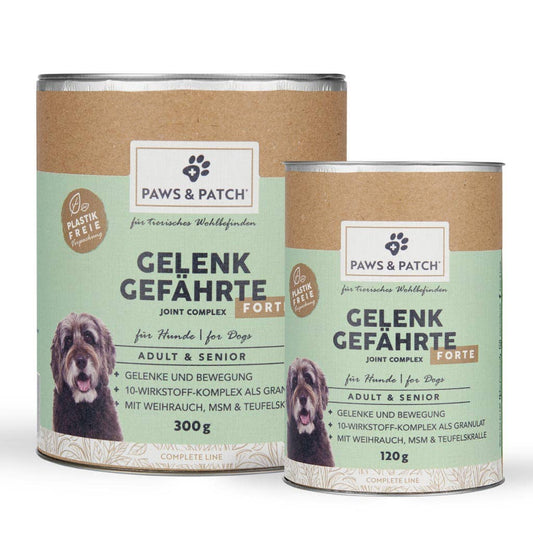 Paws & Patch - GELENK GEFÄHRTE FORTE für Hunde Adult & Senior