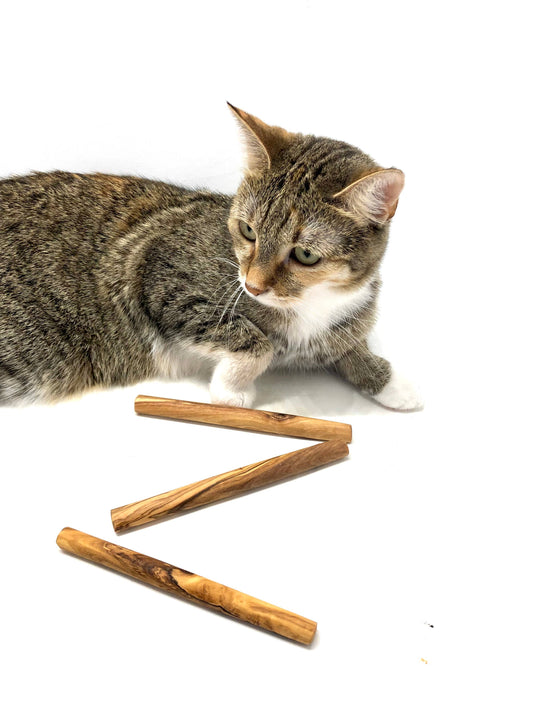 Kauknochen aus Olivenholz kleine Hunde / Katzen