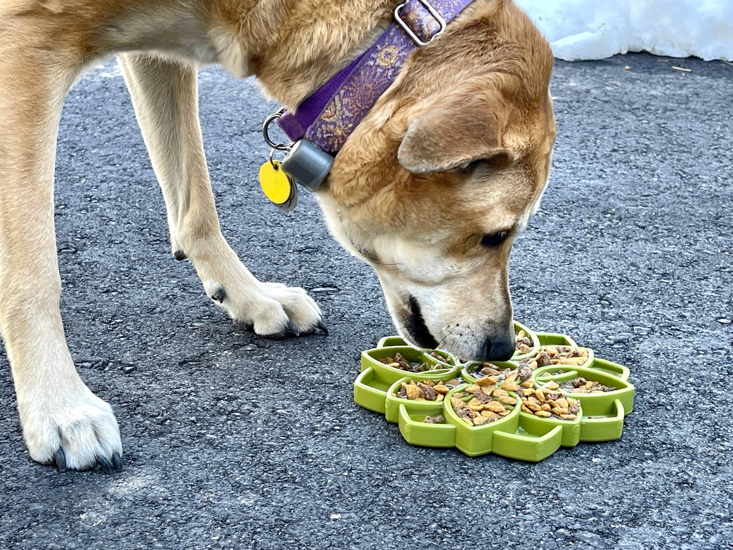 SodaPup - Mandala Design eTray Slow-Feeder-Tablett für Hunde