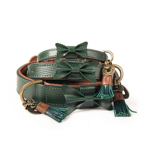 Dog with a Mission - Halsband City BOWIE