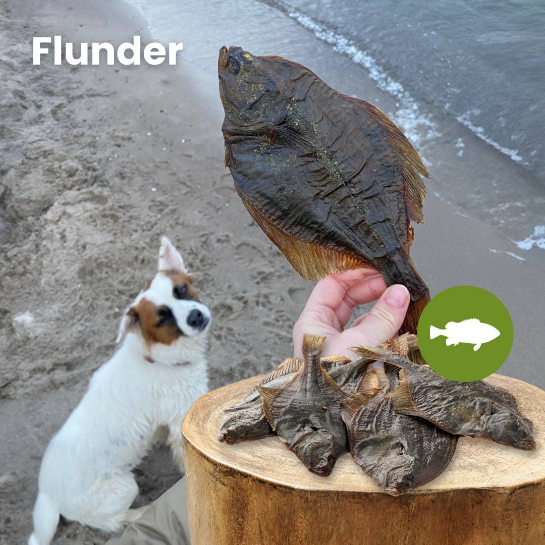 Kauartikel.com - Flunder - 250g