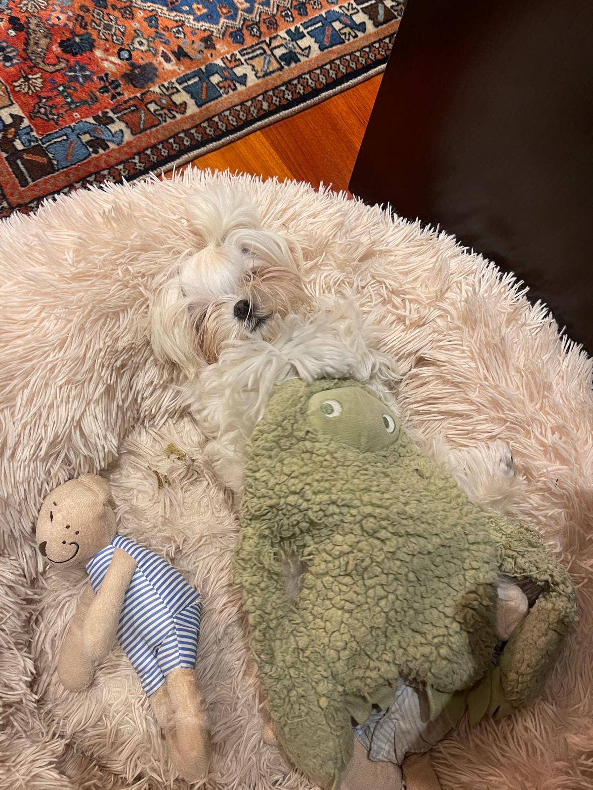 United Pets - Antistress-Plüschtier mit ätherischen Ölen - Musk