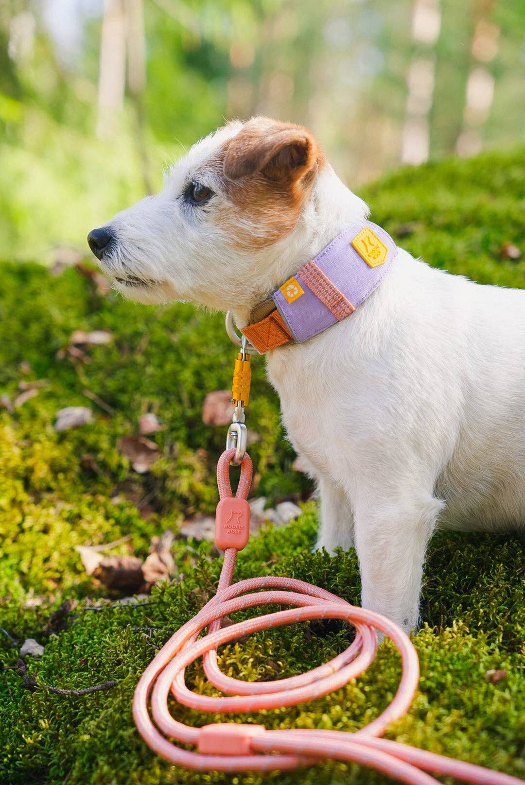 Woolly Wolf - Alpha 360 Hundehalsband - Grüner Gletschermix - recycelt (RPET)