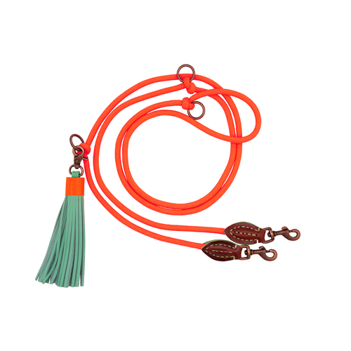 Dog with a Mission - Extra lange Carrot Cake Hundeleine