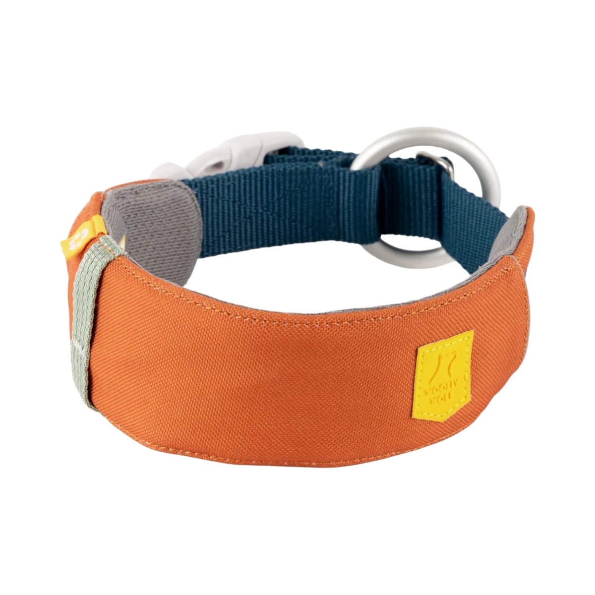 Alpha 360 Hundehalsband Terrakotta-Mix