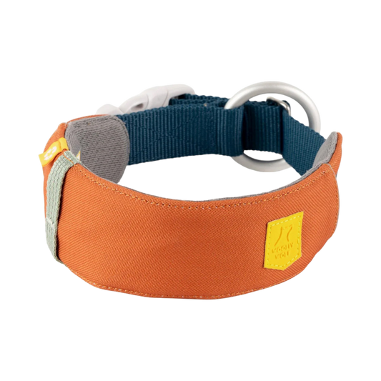 Alpha 360 Hundehalsband Terrakotta-Mix