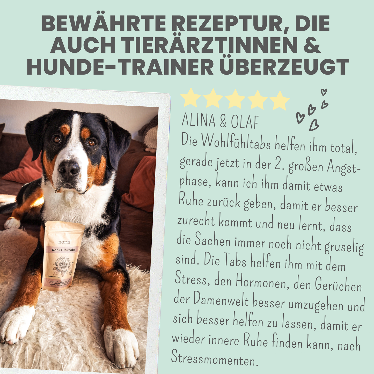 Noms+ - Wohlfühltabs für Hunde bei Stress, Angst & Unruhe