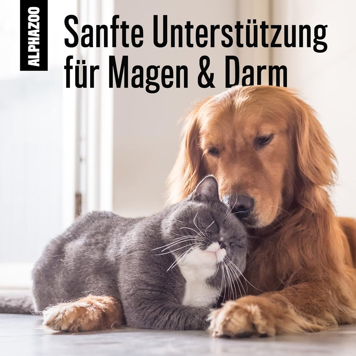 Alphazoo - Früher Vogel Pet Liquid für Hunde & Katzen - 100ml