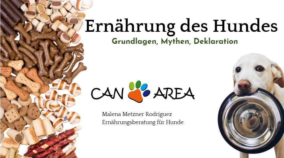 »Rund um die Hundeernährung: Von Basics bis Mythen – Ein umfassender Überblick« mit Malena Metzner Rodriguez am 28. Mai 2025 / 19:00 Uhr