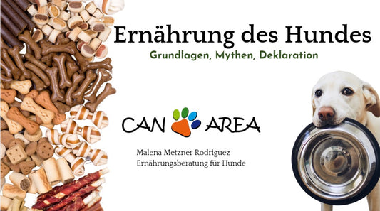 »Rund um die Hundeernährung: Von Basics bis Mythen – Ein umfassender Überblick« mit Malena Metzner Rodriguez am 15. Dezember 2025 / 17:00 Uhr