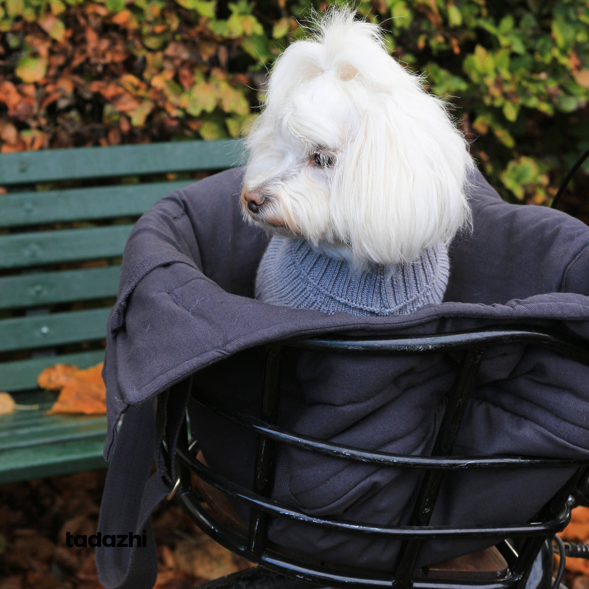 tadazhi - RIO Hundetragetasche in warmem Grau
