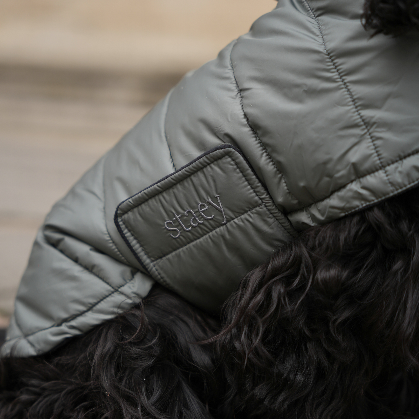 Staey - Hundemantel Nora | Moosgrün