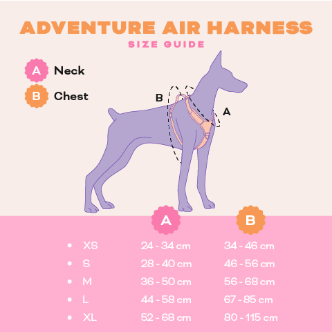 Barx - Adventure Air Geschirr | Hope Harbor