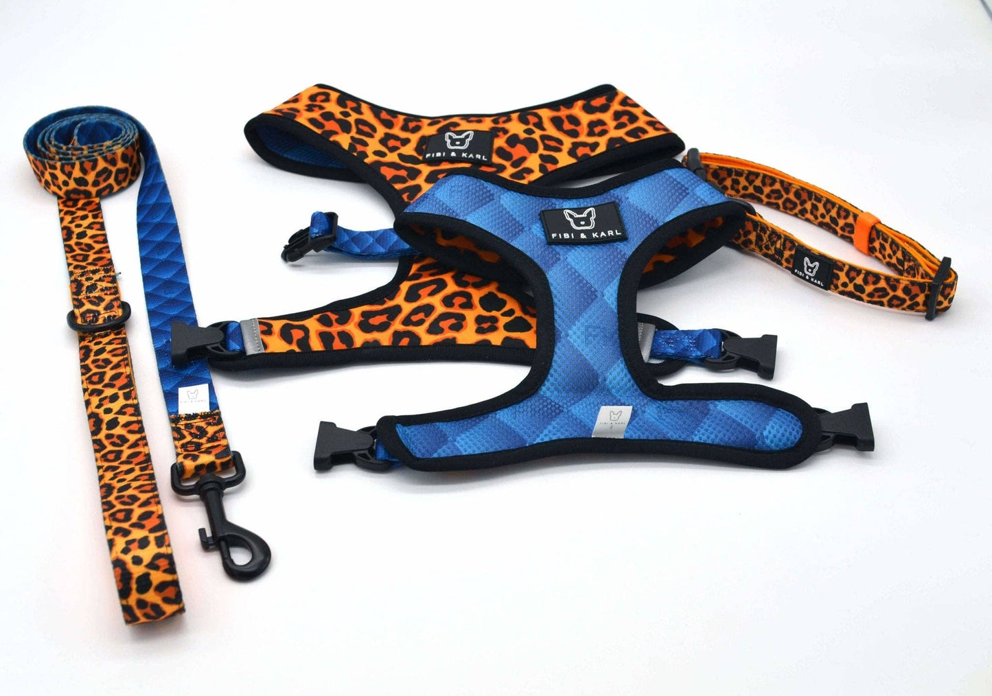 Fibi&KArl - 2-in-1 Hundegeschirr Go Wild Or Go Blue