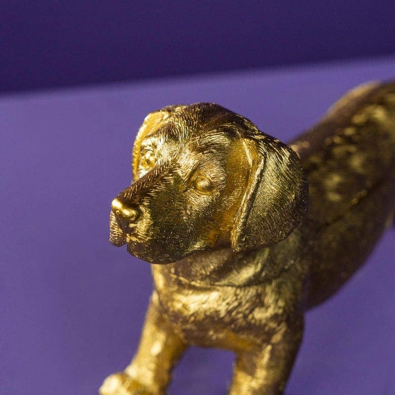Werns - Dackeldose, Gold Polyresin, 24,5 x 7,5x14,5