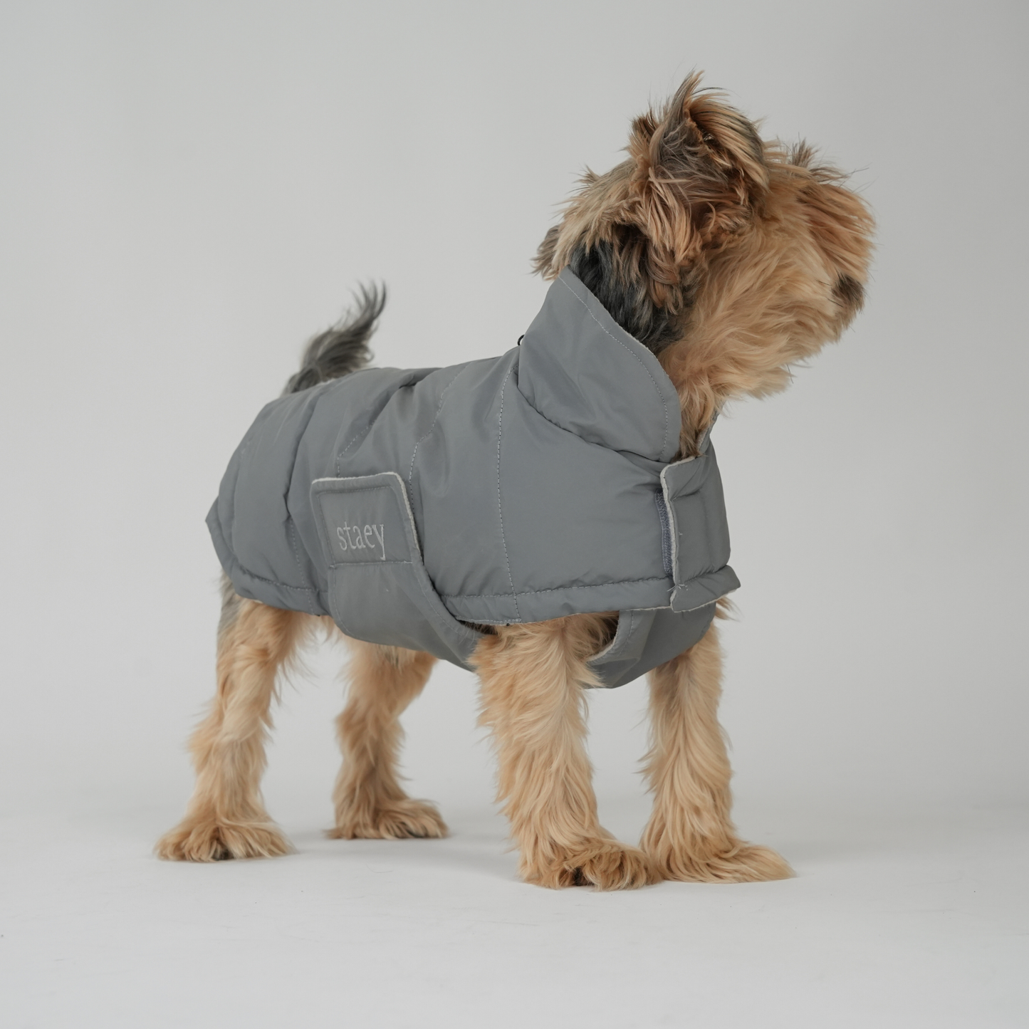Staey - Hundemantel Nora | Reflektierend: 2XL