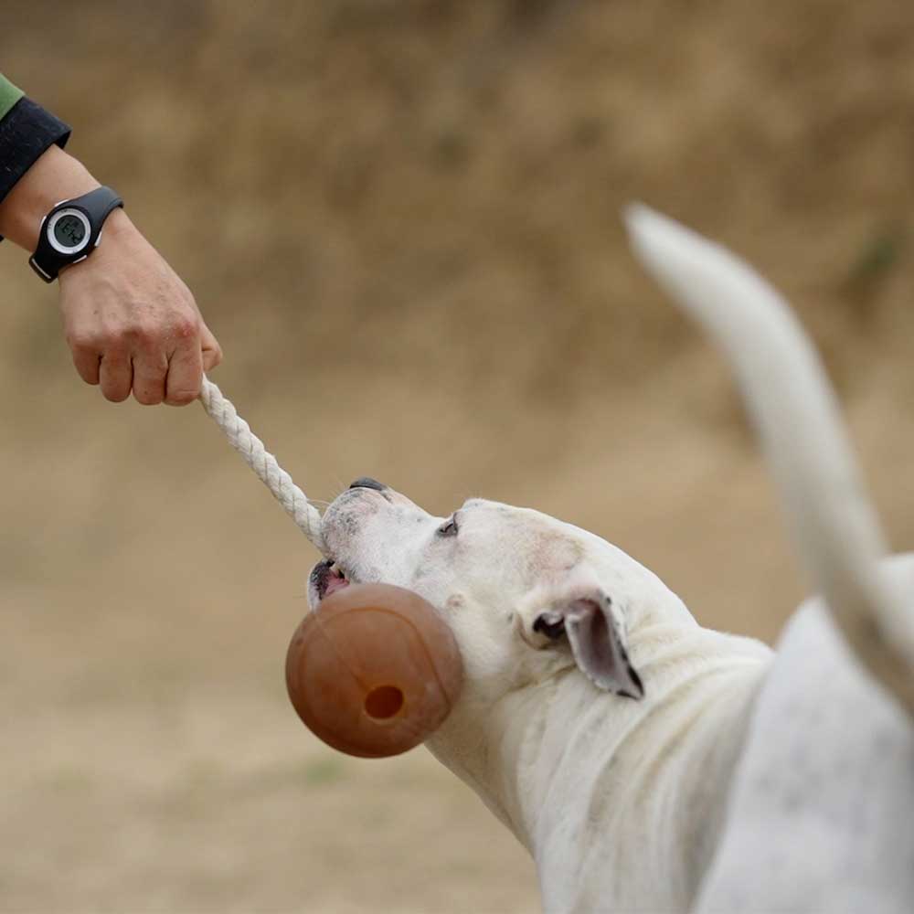 retorn - Rub Ball Rope (mit Seil) - Hundespielzeug - Größe XL