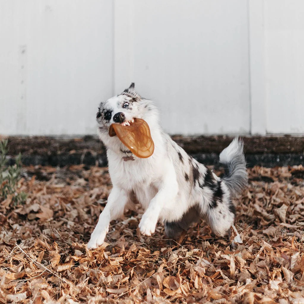 retorn - Frisbeescheibe Air - Hundespielzeug