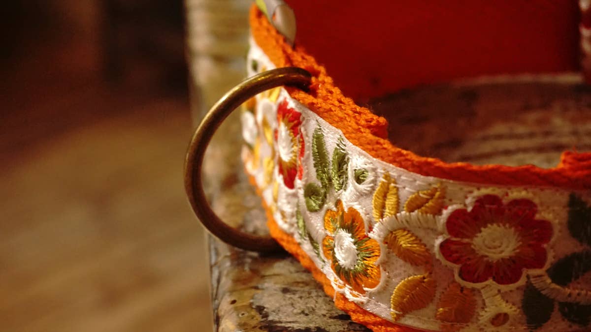 Hundsfutter - „Summertime“ Halsband- und Leinen-Set mit Blumendesign