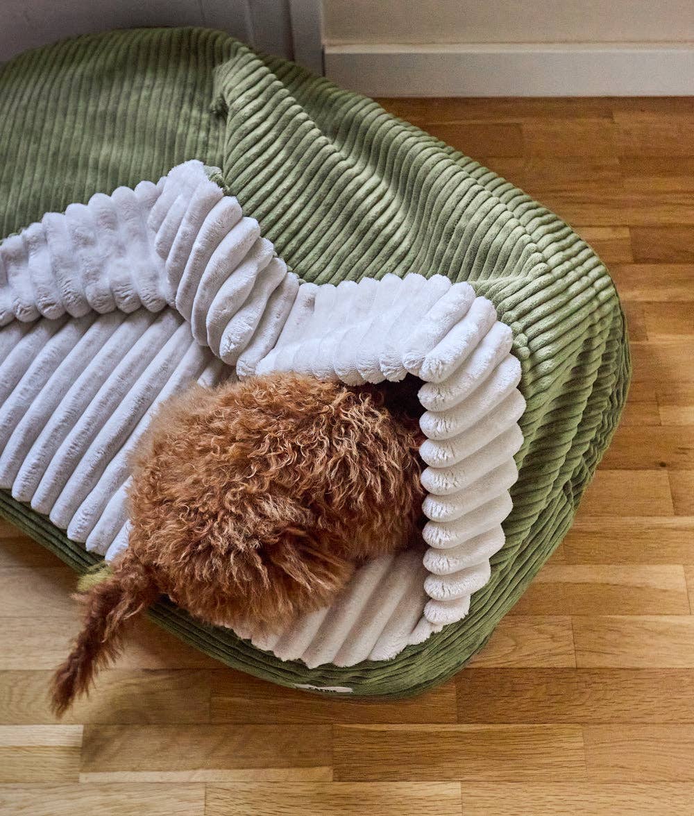 Cafide - Hundebett mit Kapuze aus grünem Cord, Maso