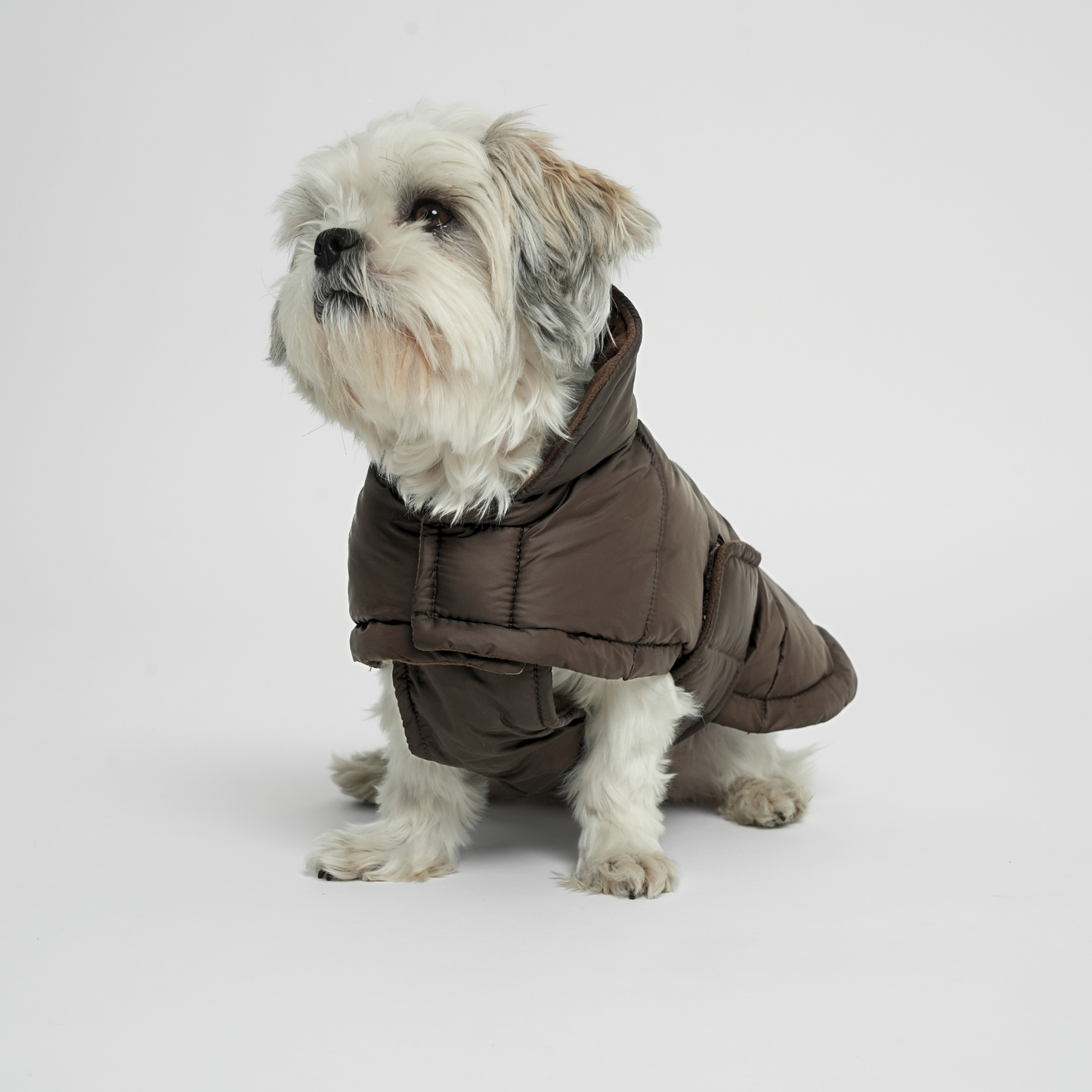Staey - Nora Hundemantel | Espresso: XL