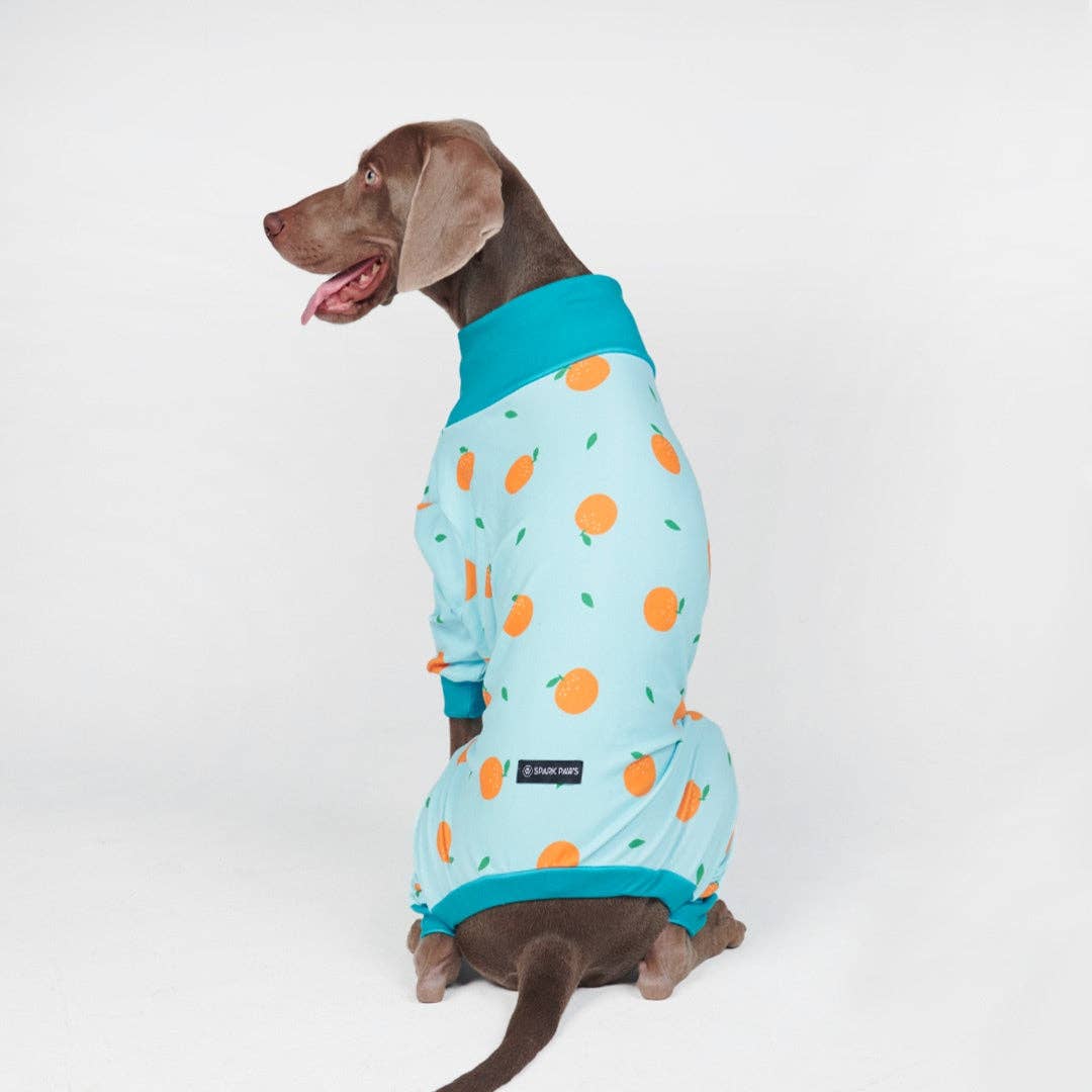 Hunde-Pyjama - Orangen