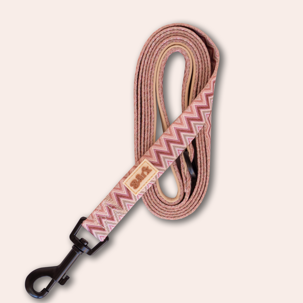 Barx - Leine | Missoni