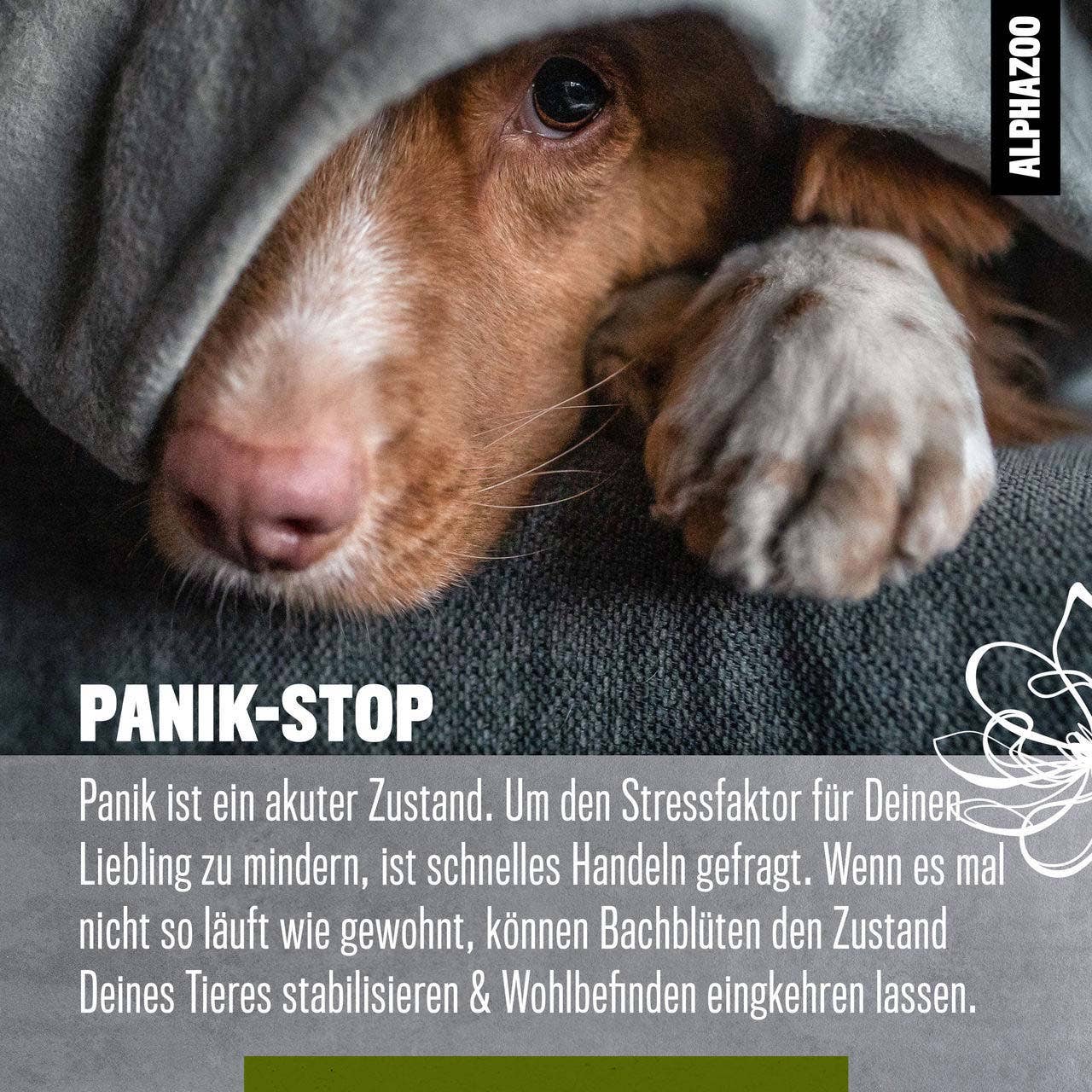 Alphazoo - Panik Stop Bachblüten 15g