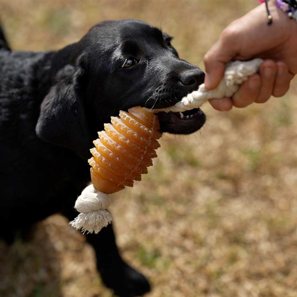 retorn - Rub Rugby Hundespielzeug mit Seil - Größe M