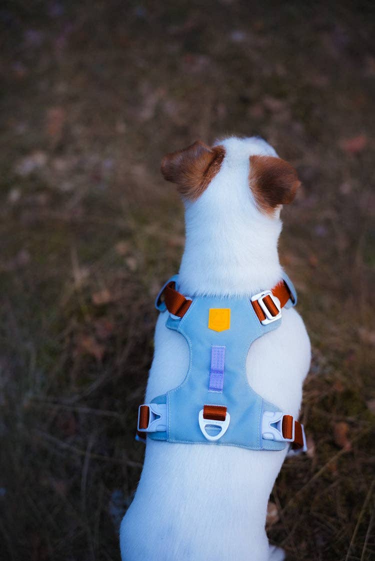Woolly Wolf - Alpha 360 Hundegeschirr recycelt (RPET)