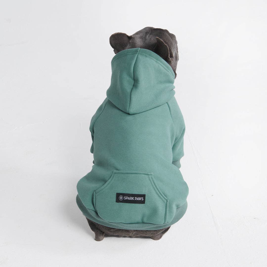 _Spark Paws - Essential Hoodie für Hunde, Blaugrün