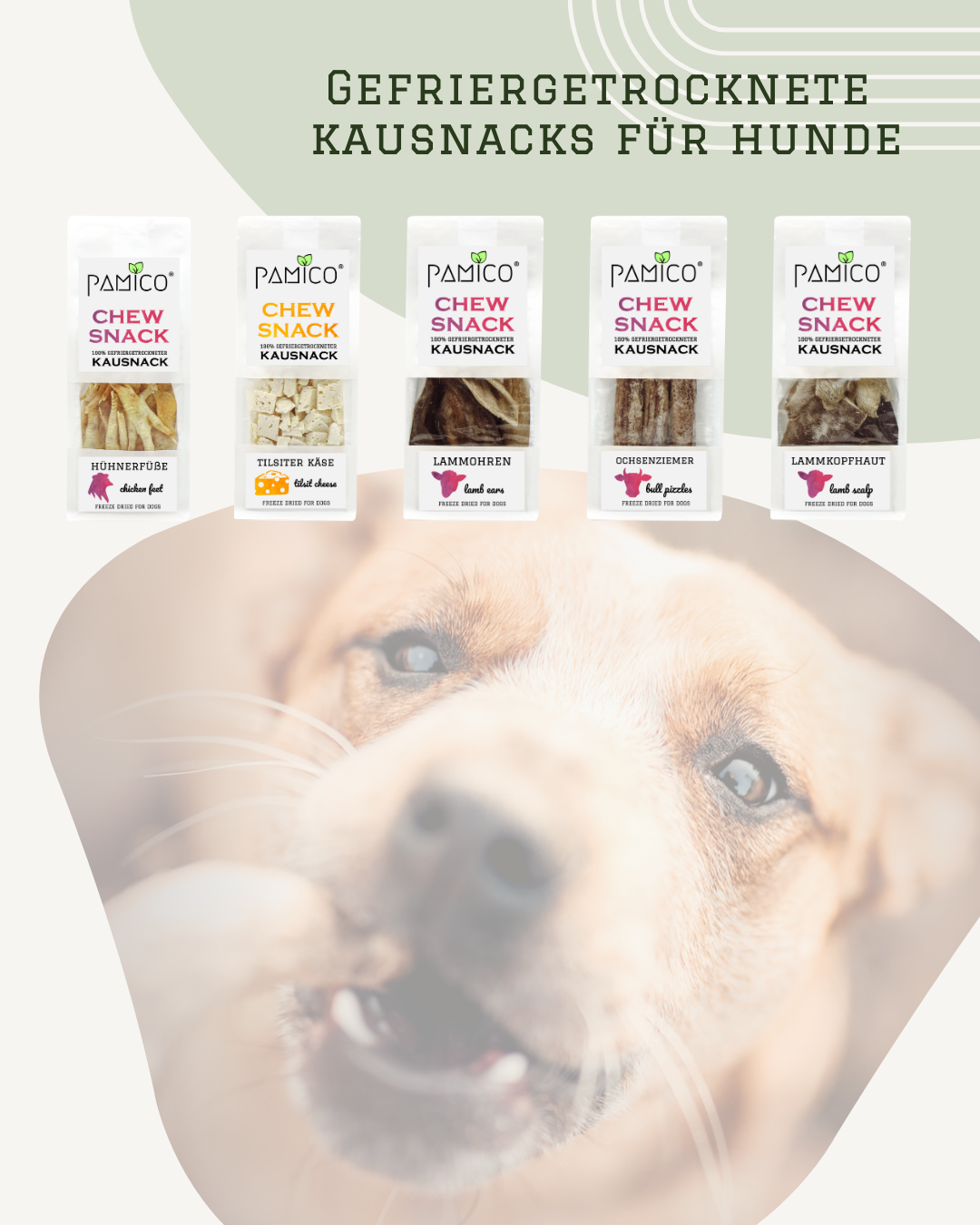 Pamico - Käse gefriergetrocknet | natürlich, gesunder & proteinreicher Kausnack für Hunde
