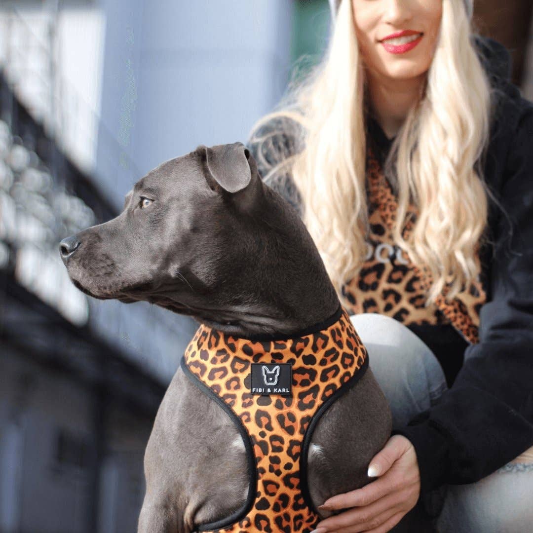 Fibi&KArl - 2-in-1 Hundegeschirr Go Wild Or Go Blue