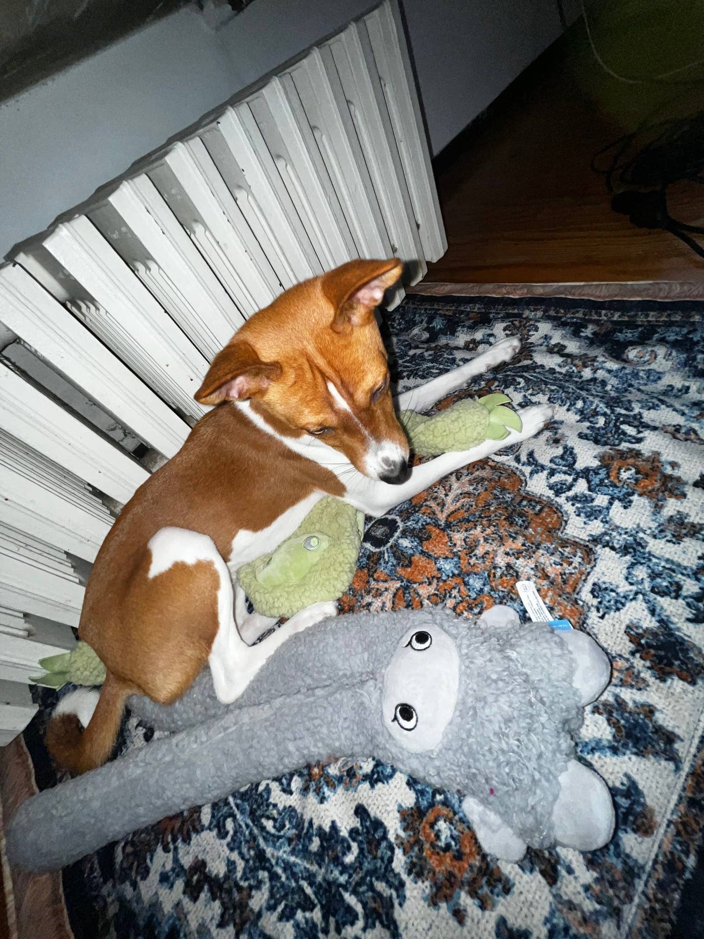 United Pets - Antistress-Plüschtier mit ätherischen Ölen - Rosicchio