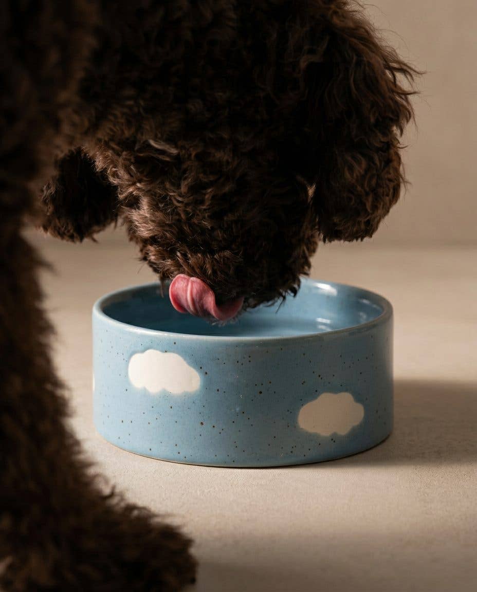 Egg Back Home - Cloud Napf 16,5 cm, 2er-Set
