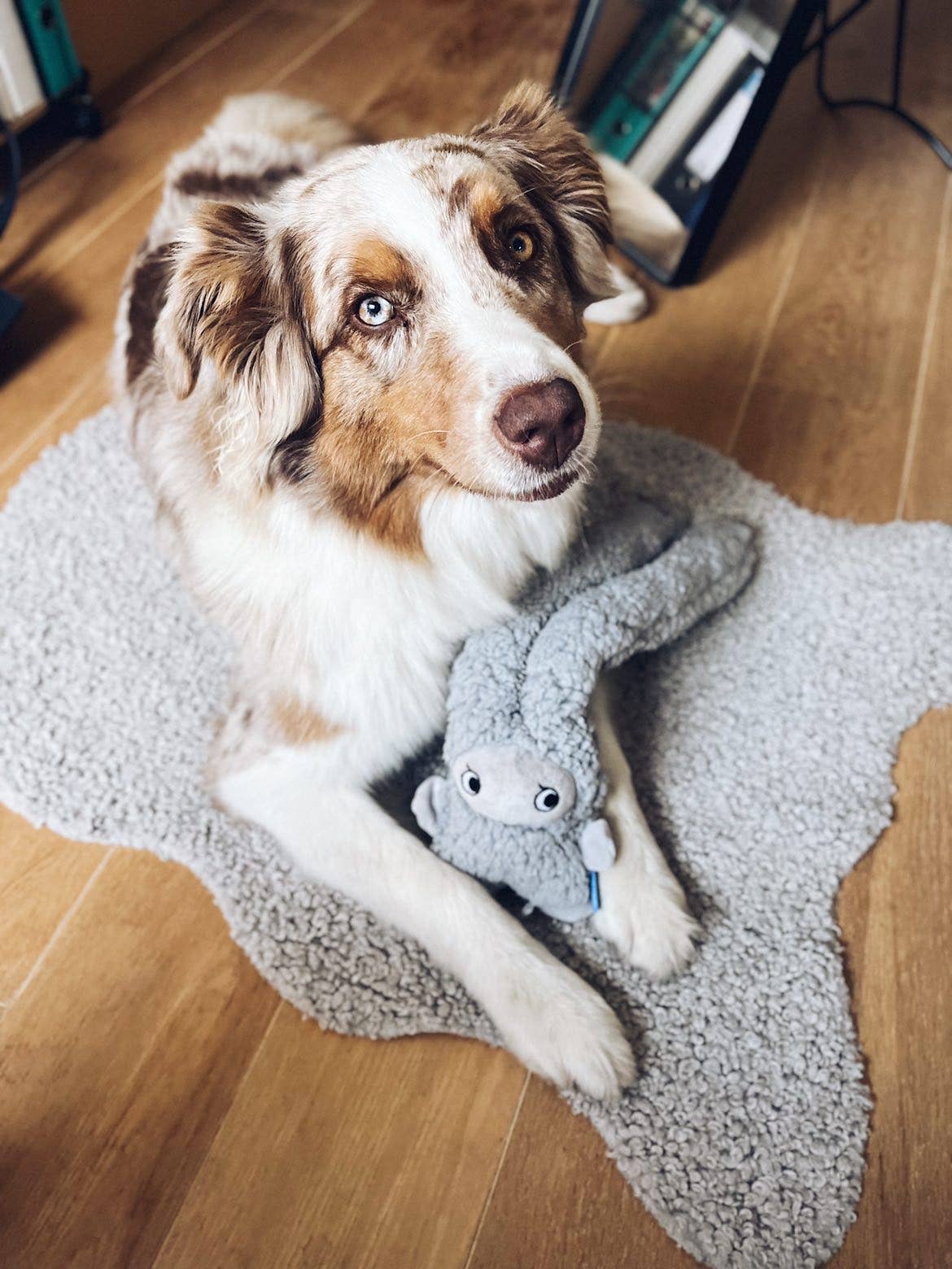 United Pets - Antistress-Plüschtier mit ätherischen Ölen - Rosicchio