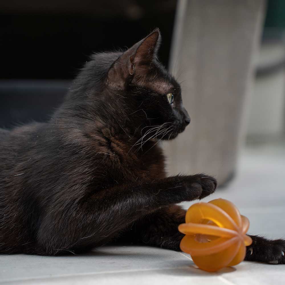 retorn - Rub Funny Ball Cats (2 Stück) - Katzenspielzeug