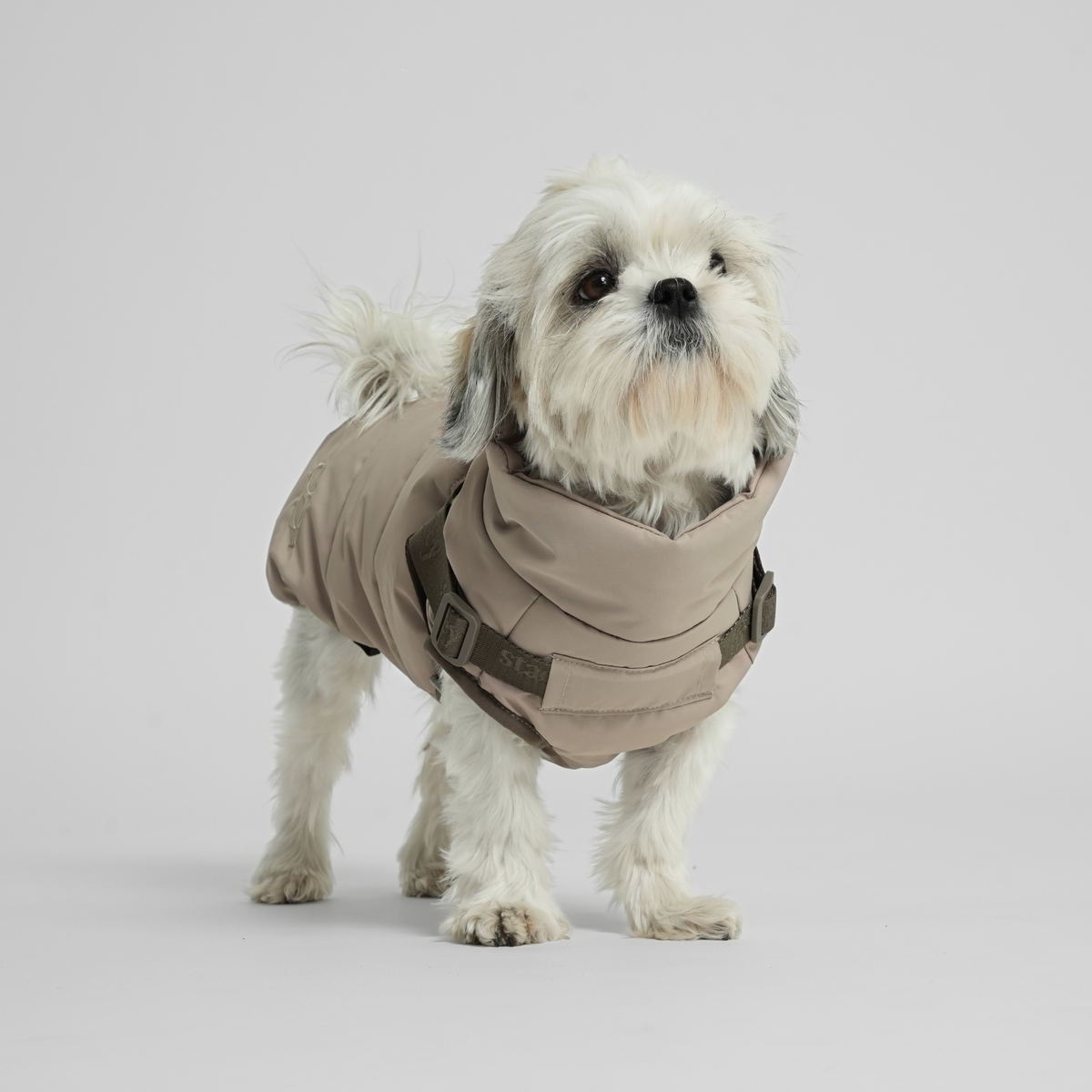 Staey - Vera Hundemantel mit Geschirr | Sand