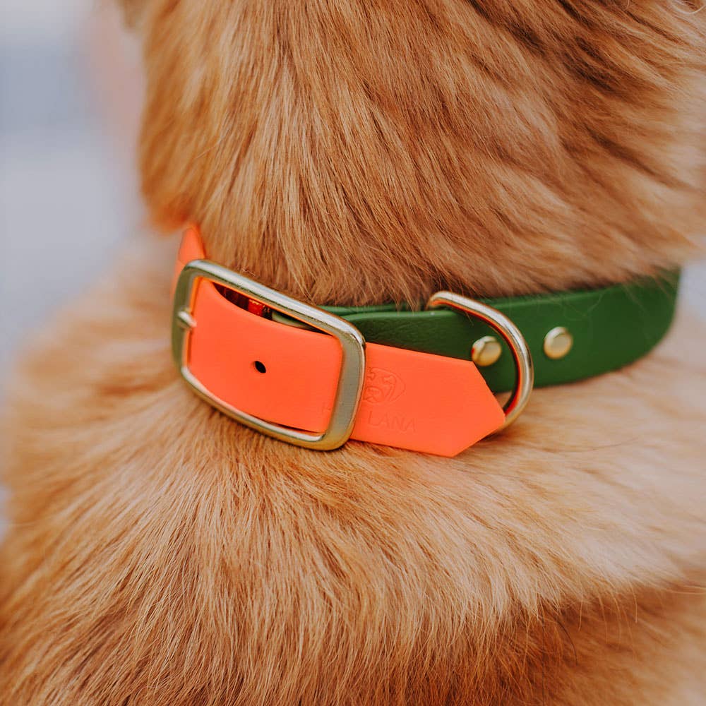 Hey Lana - Hundehalsband Outdoor SPORT - Biothane - Neon-orange/Grün