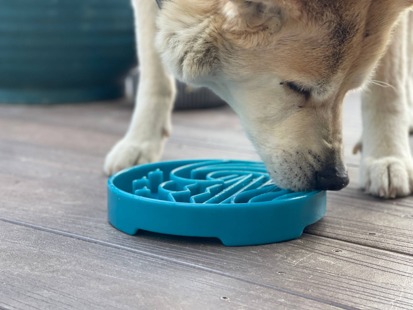 SodaPup - Baja Design eTray Flacher Slow Feeder - Napf für Hunde