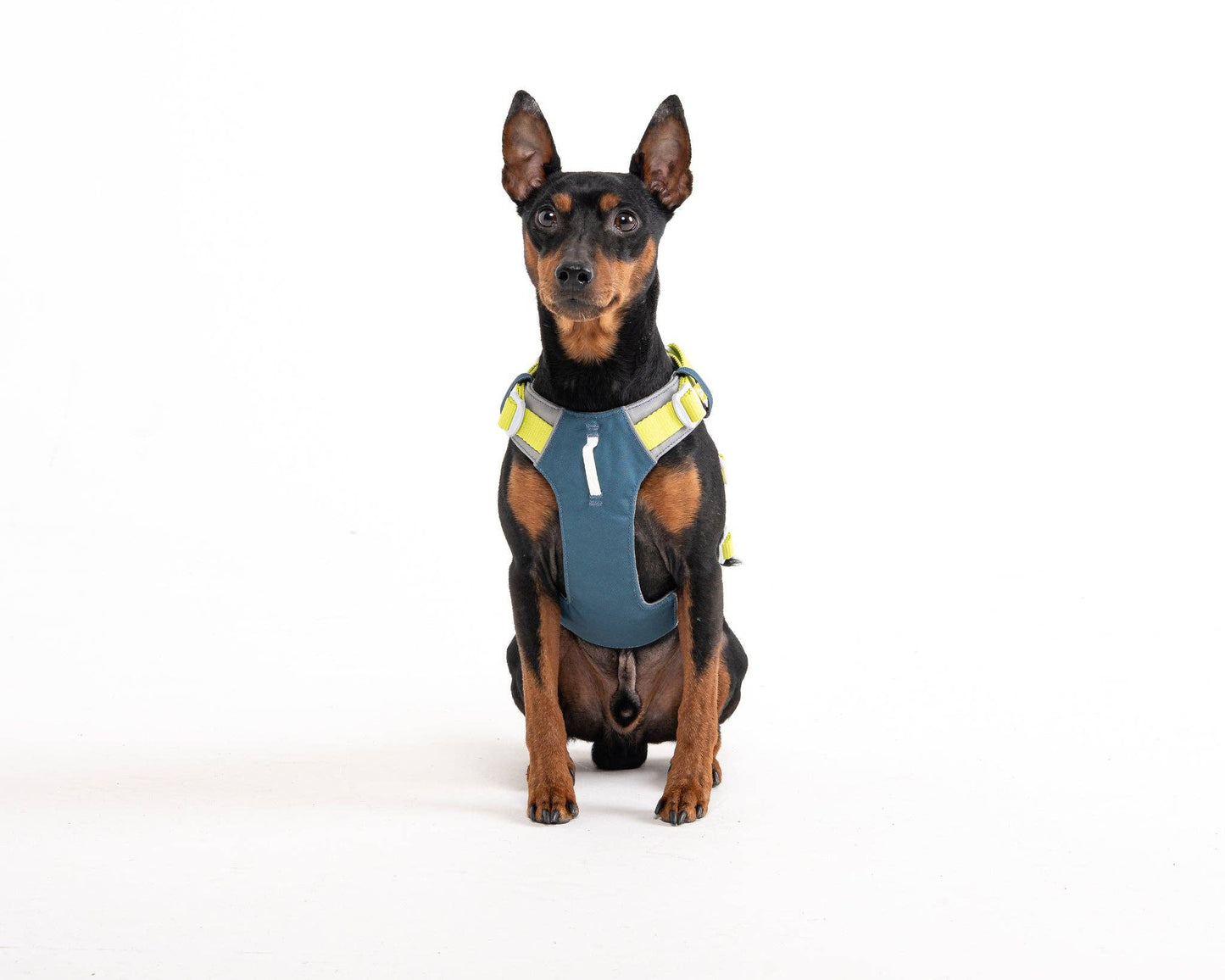 Woolly Wolf - Alpha 360 Hundegeschirr Deep Teal Mix aus recyceltem Material (RPET)