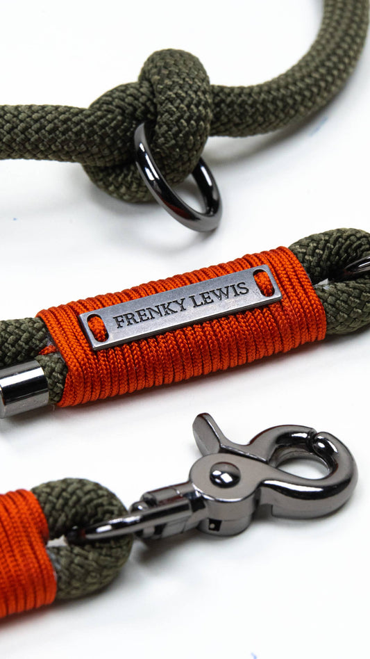 Frenky Lewis - Freisprechleine - Olly Baxter - 2,5 m