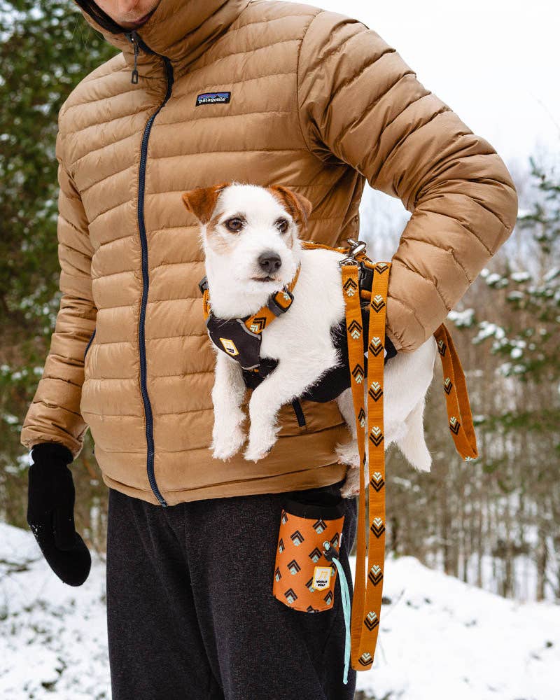 Woolly Wolf - Sea to Summit Hundeleine aus recyceltem RPET