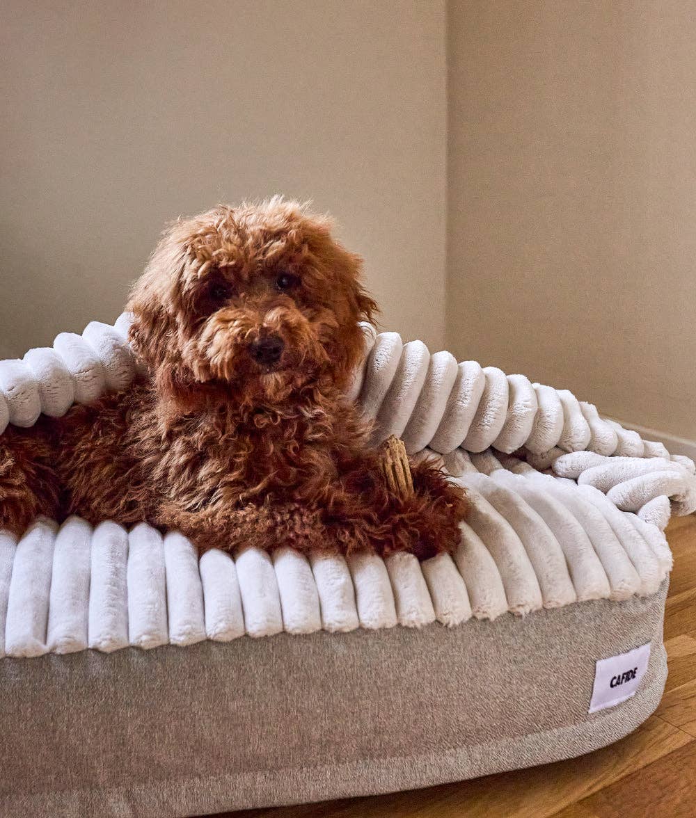 Cafide - Hundebett mit Kapuze Chenille Beige, Maso