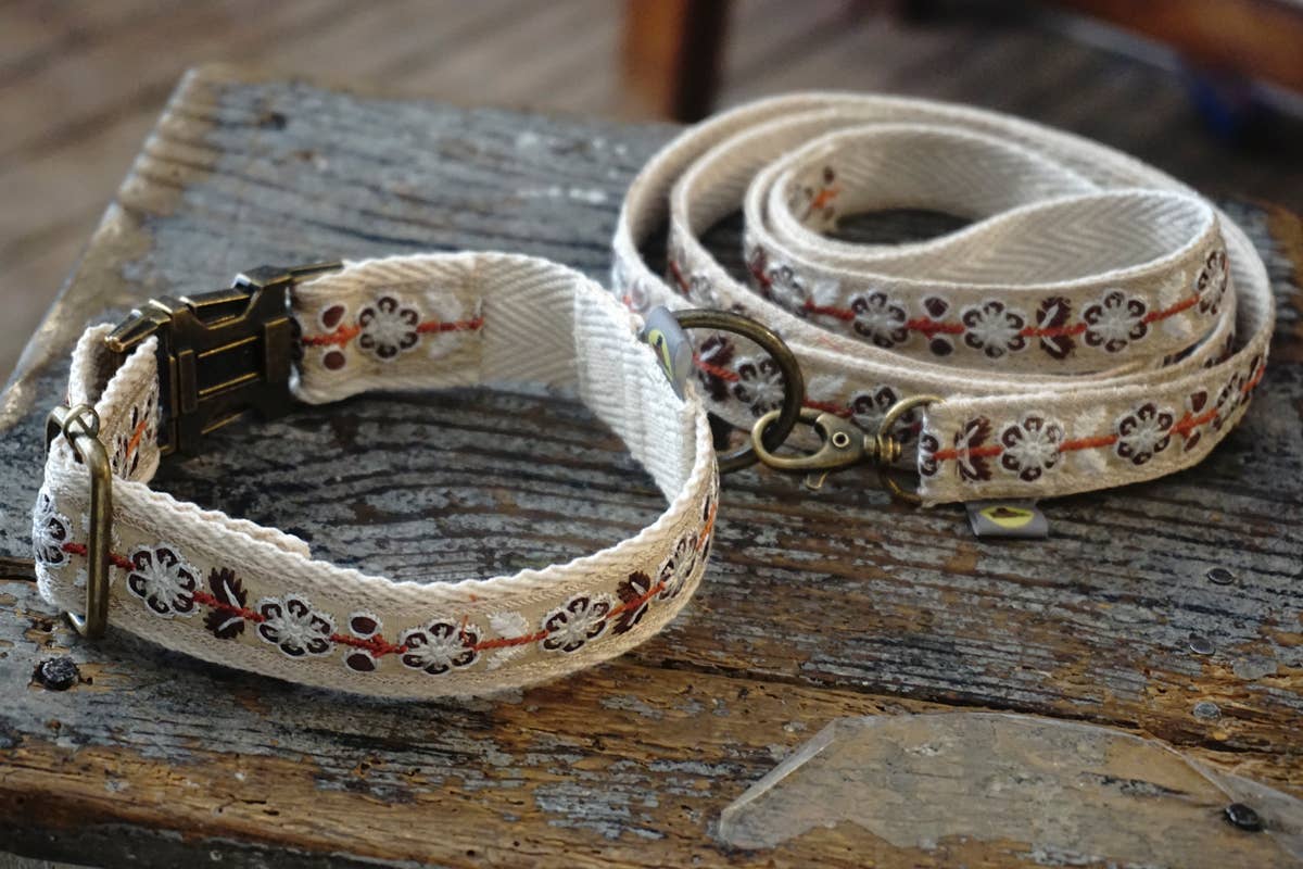 Hundsfutter - Elegantes Halsband- und Leinen-Set "John"