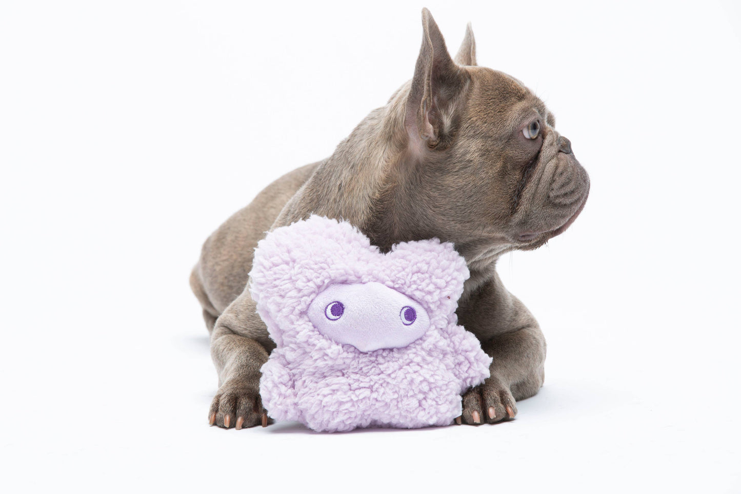 United Pets - Anti-Stress Kuscheltier mit ätherischen Ölen – Nocciolino